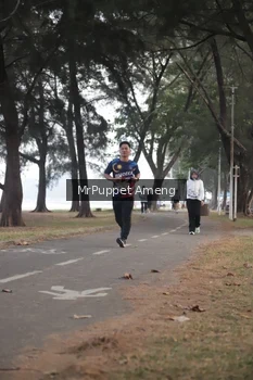 Runner Photo 4313102