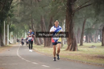 Runner Photo 4313189