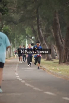 Runner Photo 4313195