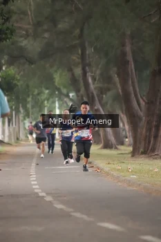 Runner Photo 4313196