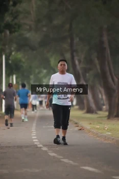 Runner Photo 4313283
