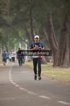 Runner Photo 4313287