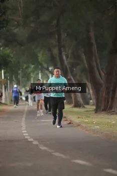 Runner Photo 4313341
