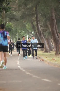 Runner Photo 4313470