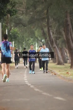 Runner Photo 4313471