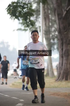 Runner Photo 4313537