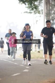 Runner Photo 4313542