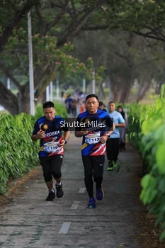 Runner Photo 4313863
