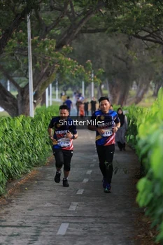 Runner Photo 4313868