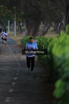 Runner Photo 4314283