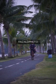 Runner Photo 4315031