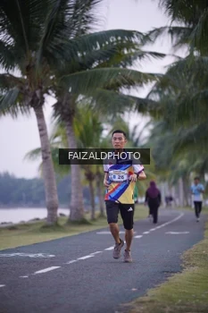 Runner Photo 4315064
