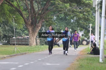 Runner Photo 4317166