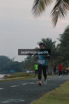 Runner Photo 4317400