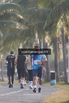 Runner Photo 4318546