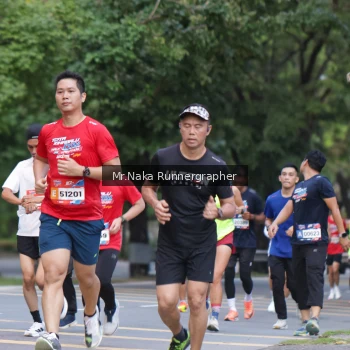 Runner Photo 43186