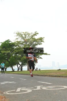 Runner Photo 4319263