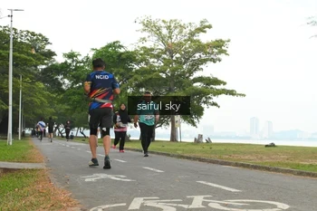 Runner Photo 4319269