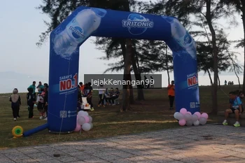 Runner Photo 4319485