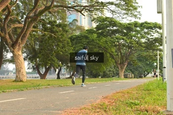 Runner Photo 4319506