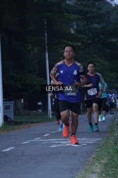 Runner Photo 4319617