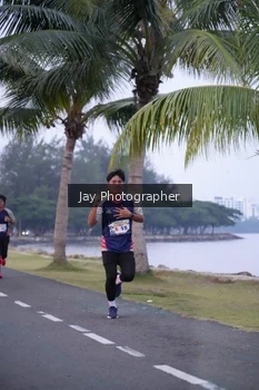 Runner Photo 4319918