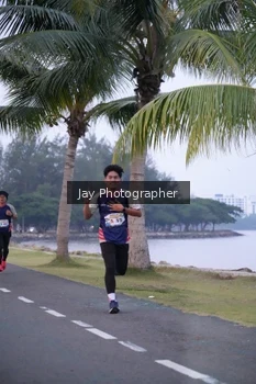 Runner Photo 4319922