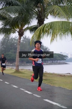 Runner Photo 4319926