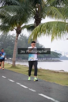Runner Photo 4319953