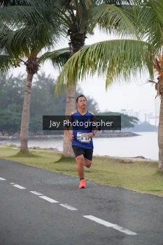 Runner Photo 4319978
