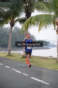 Runner Photo 4319982