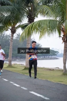 Runner Photo 4320028