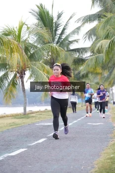 Runner Photo 4320266