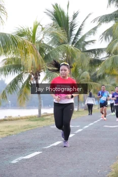 Runner Photo 4320267