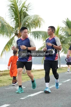 Runner Photo 4320300