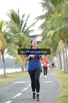 Runner Photo 4320395