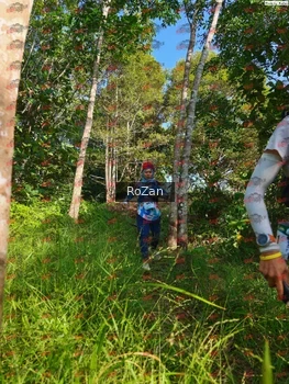 Runner Photo 4322