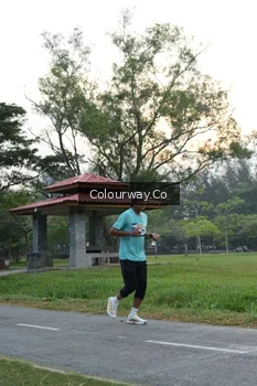 Runner Photo 4322837