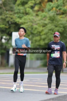 Runner Photo 43229