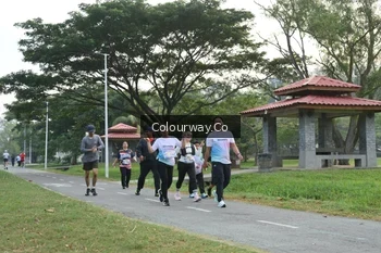 Runner Photo 4323295