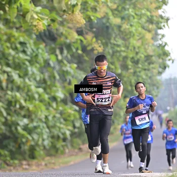 Runner Photo 4324048