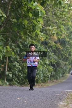 Runner Photo 4324199