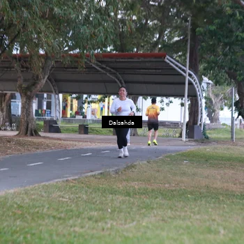 Runner Photo 4325194
