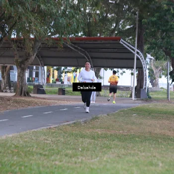 Runner Photo 4325200