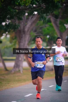 Runner Photo 4326801