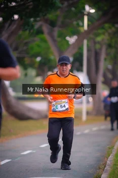 Runner Photo 4326843