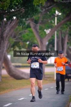 Runner Photo 4326847