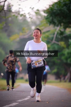 Runner Photo 4327008