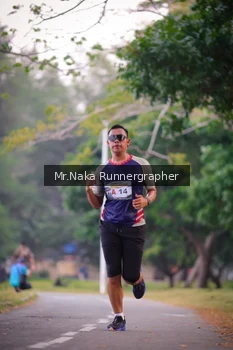 Runner Photo 4327011