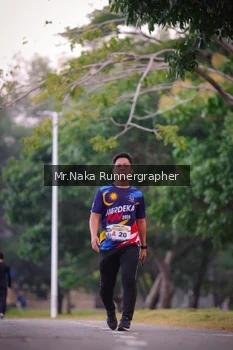 Runner Photo 4327020